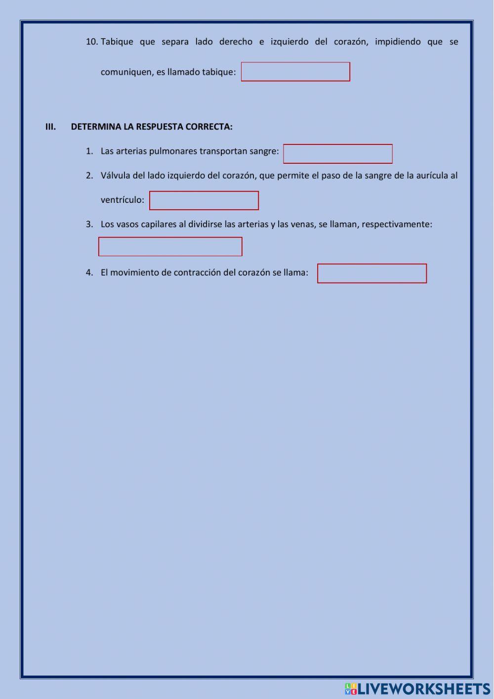 Sistema circulatorio y respiratorio