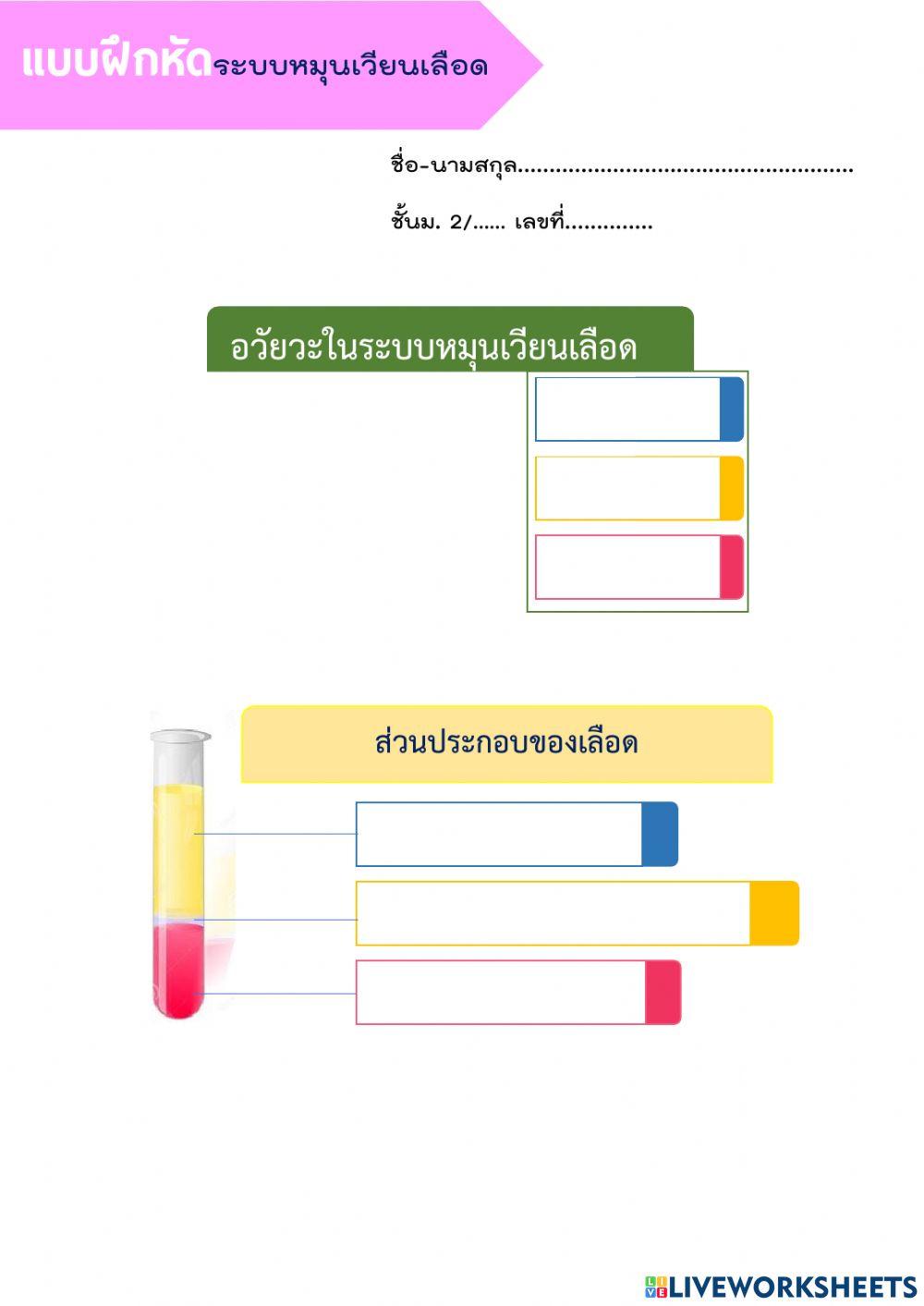 ระบบหมุนเวียนเลือด