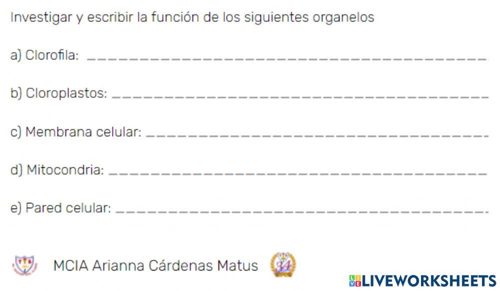 Organelos de la célula