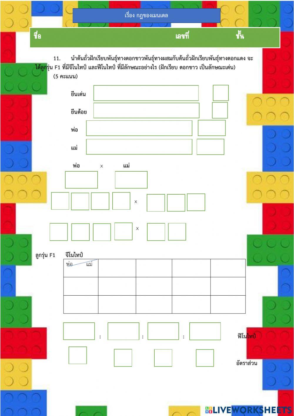 กฏเมนเดลข้อ 11