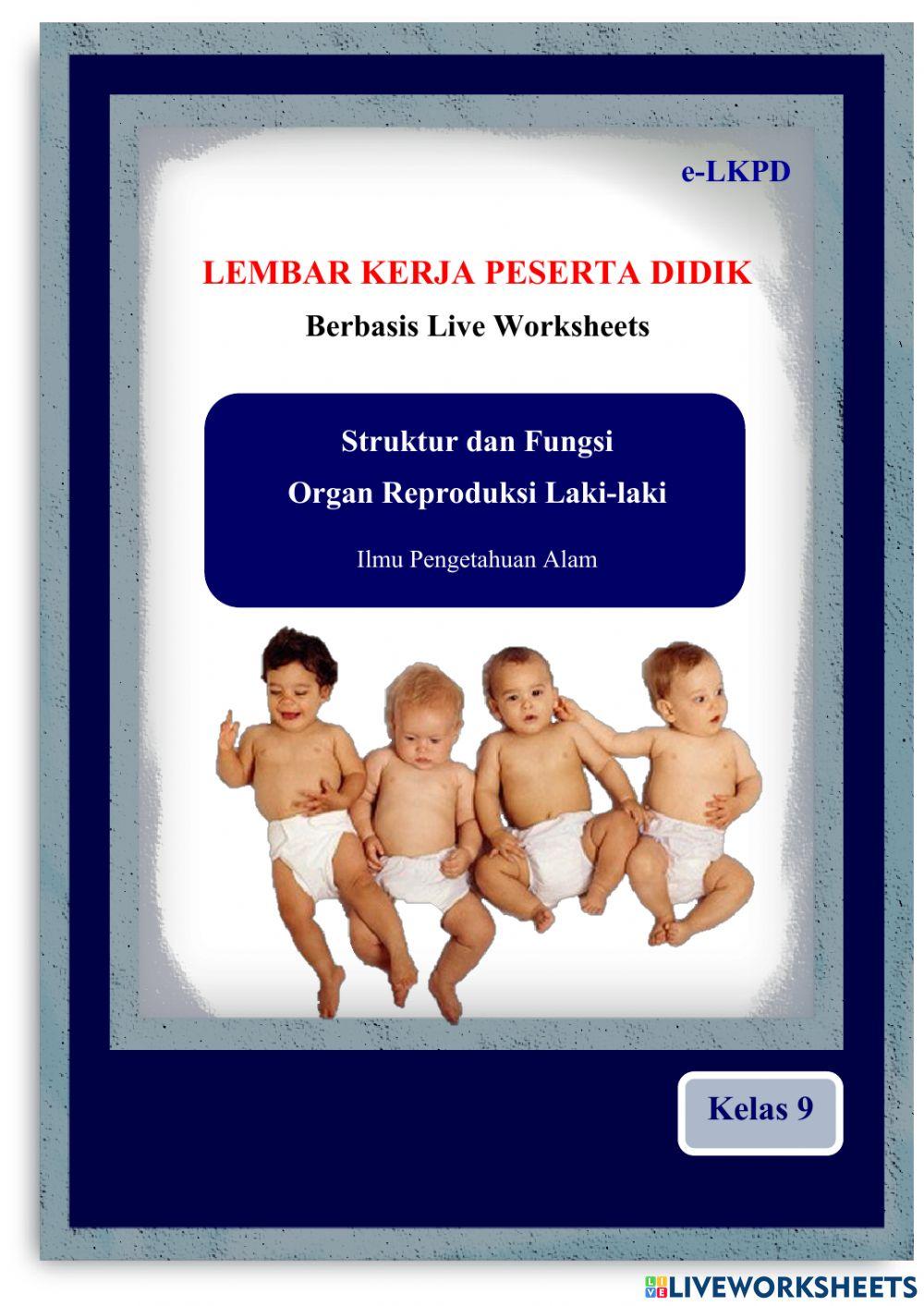 E-LKPD Organ Reproduksi Laki-laki