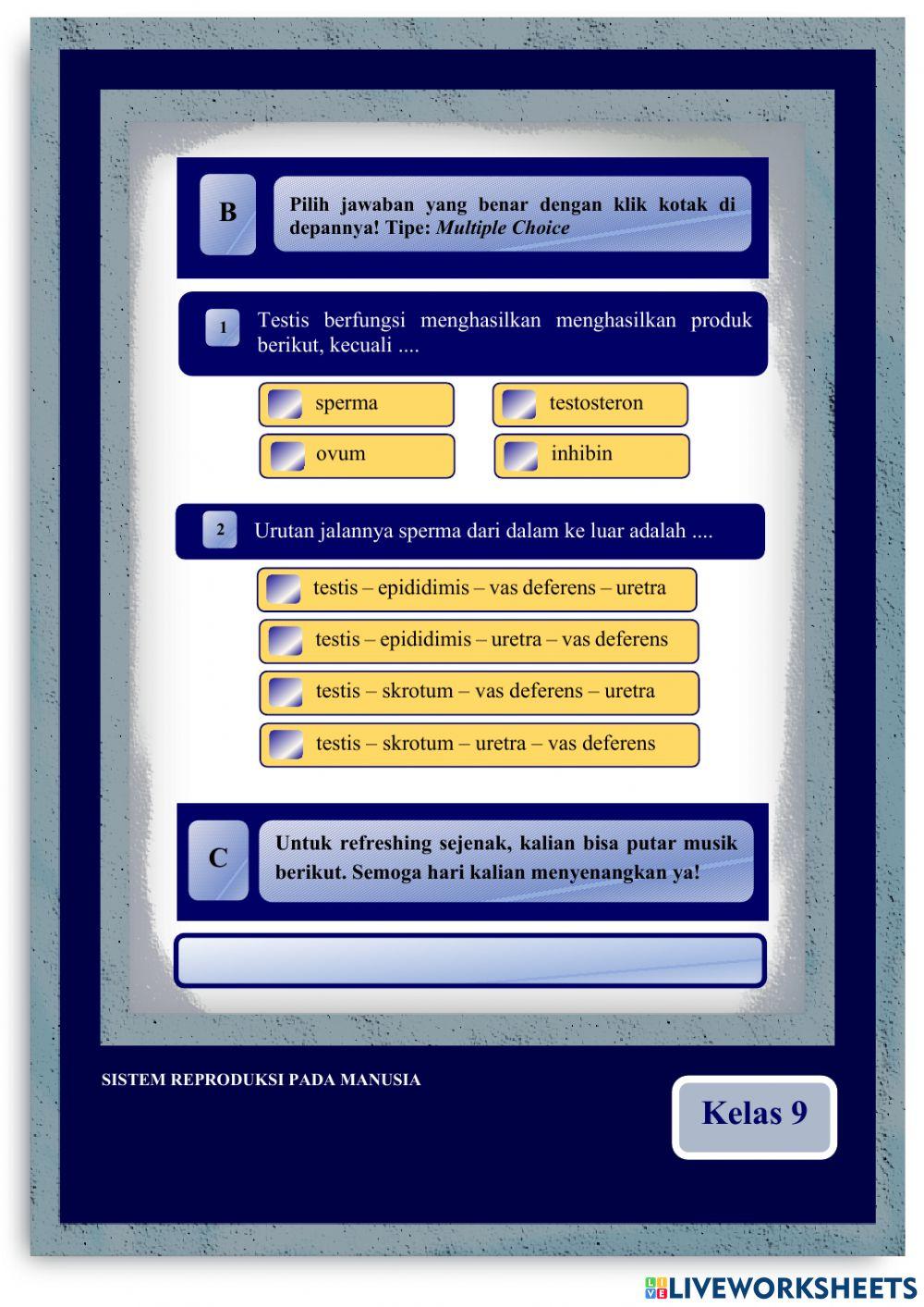 E-LKPD Organ Reproduksi Laki-laki