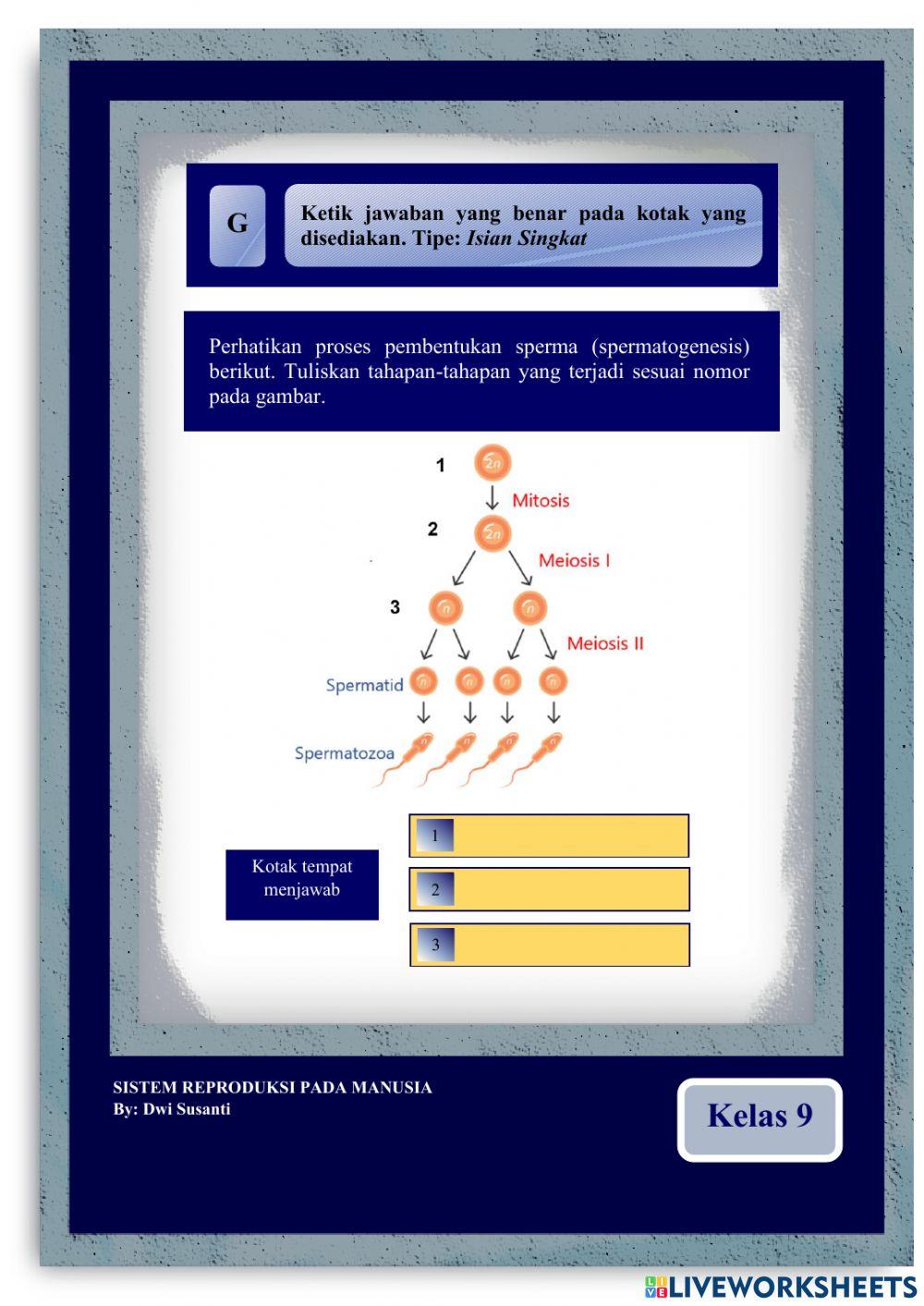 E-LKPD Organ Reproduksi Laki-laki