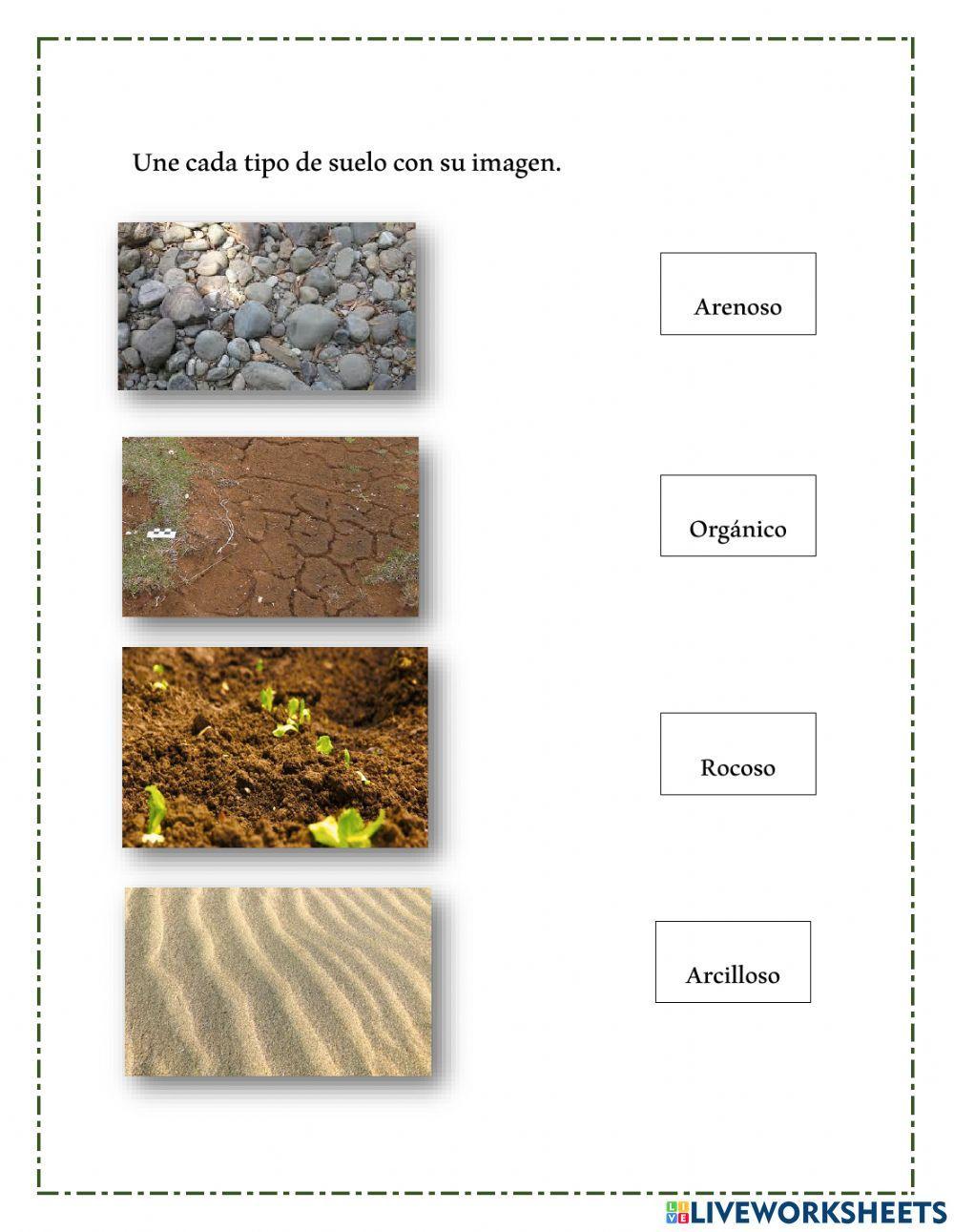 El suelo, sus capas y tipos