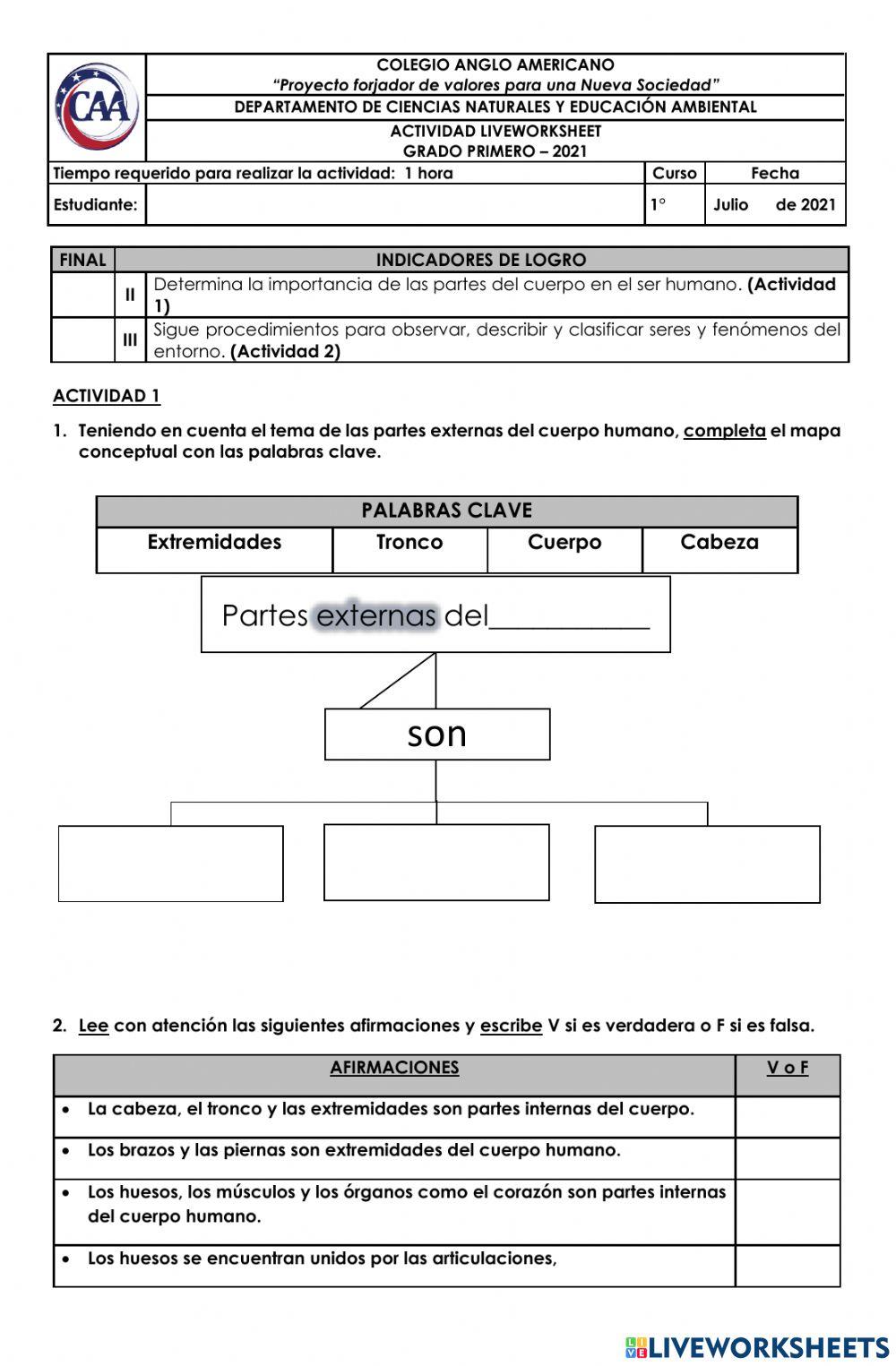Partes Internas y Externas del cuerpo