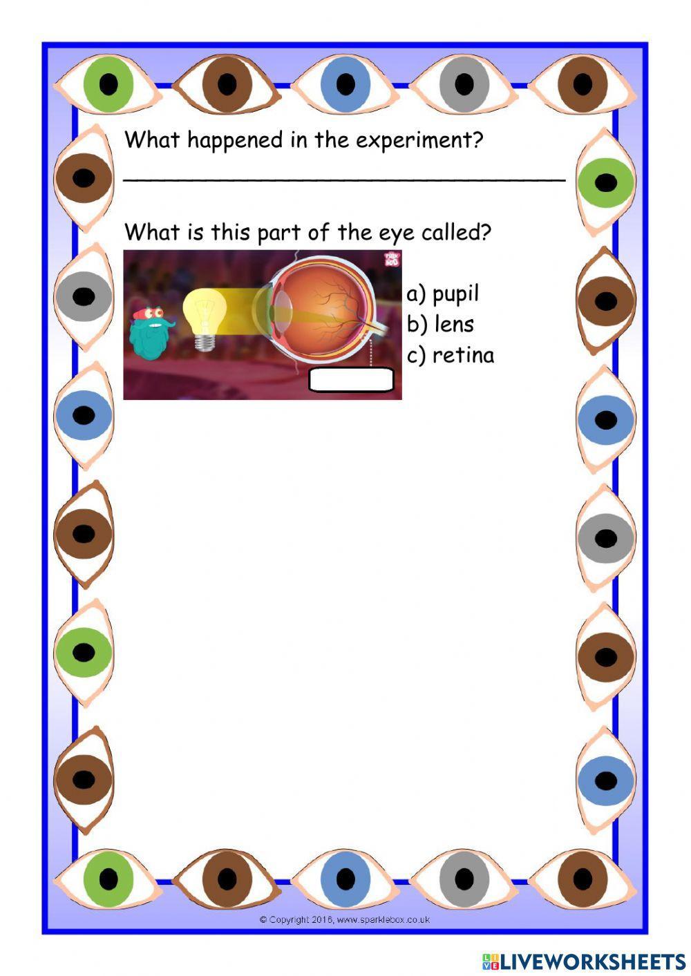 The Human Eye (VERSION 2)