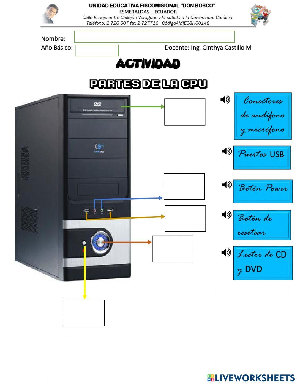 Partes de la cpu