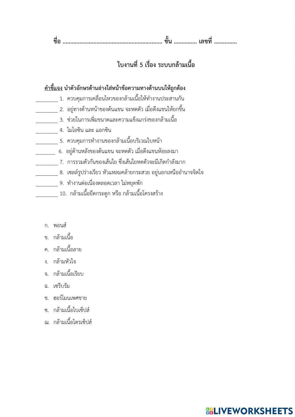 ใบงานที่ 5 ระบบกล้ามเนื้อ