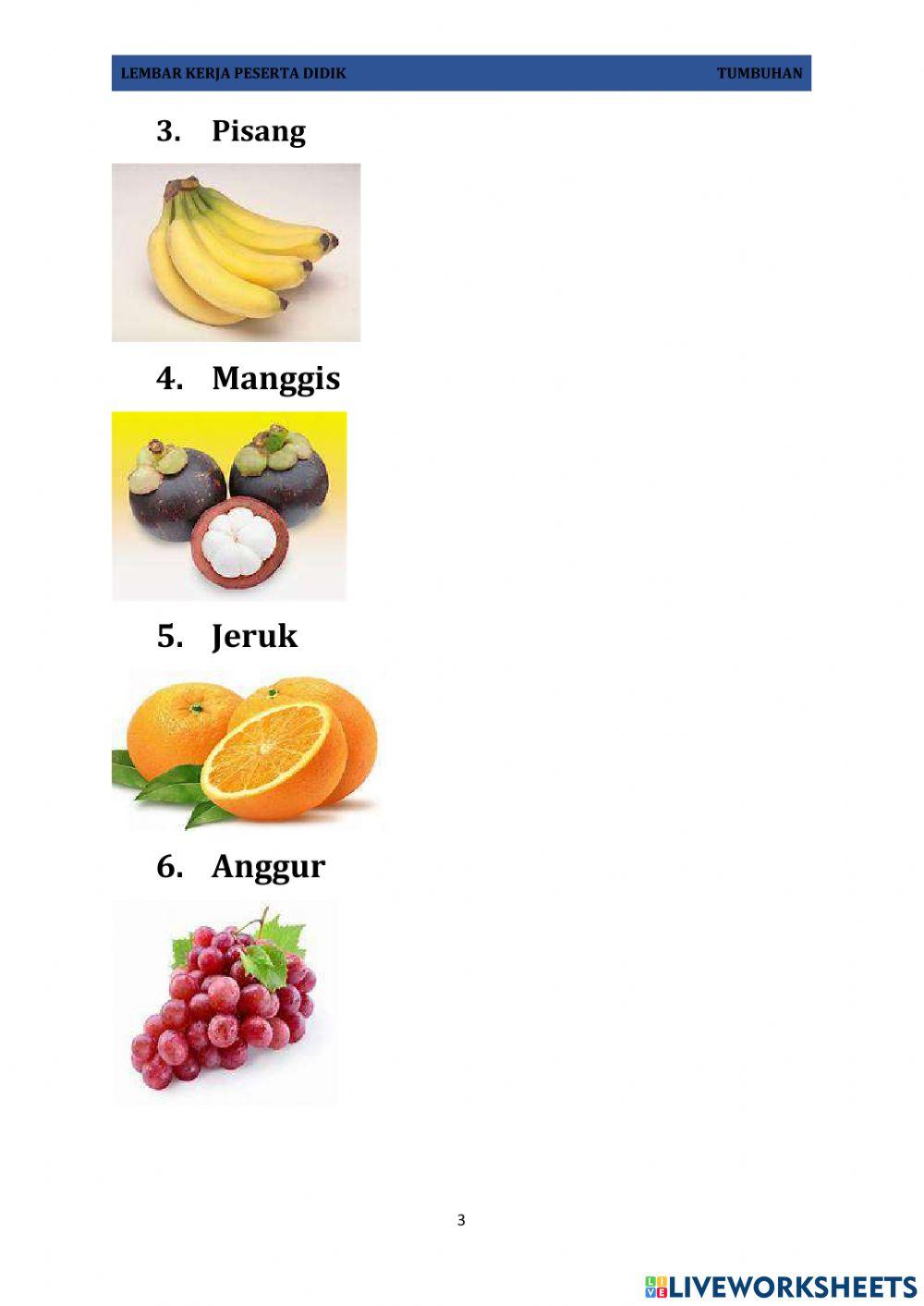 Lkpd buah-buahan