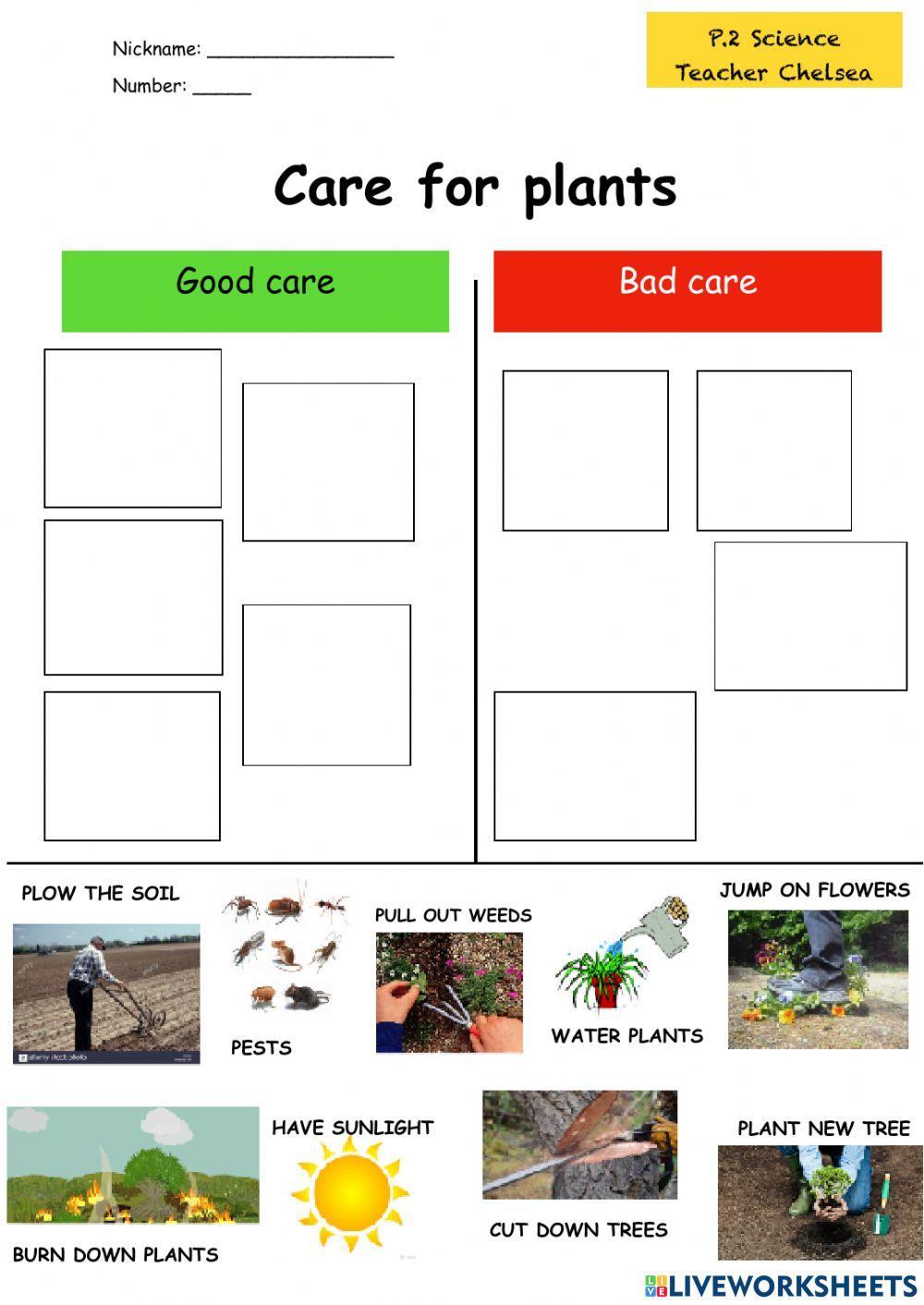 Care for plants