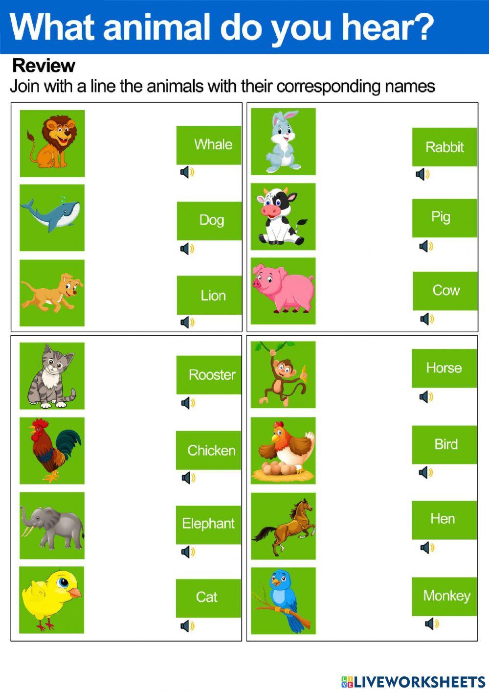 What animal do you hear?