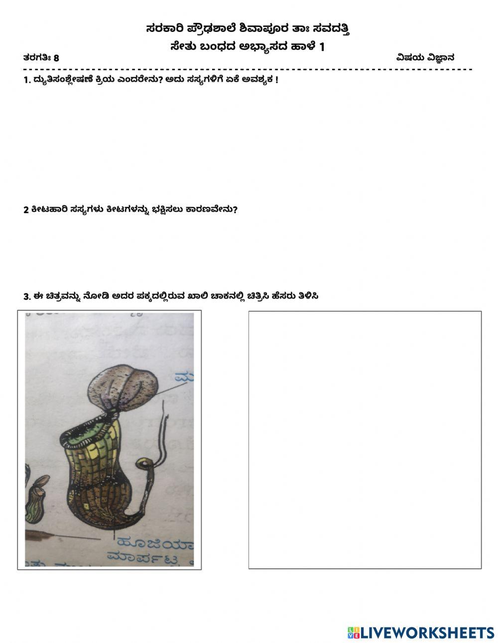 8 ನೇ ವರ್ಗ ಅಬ್ಯಾಸ ಹಾಳೆ