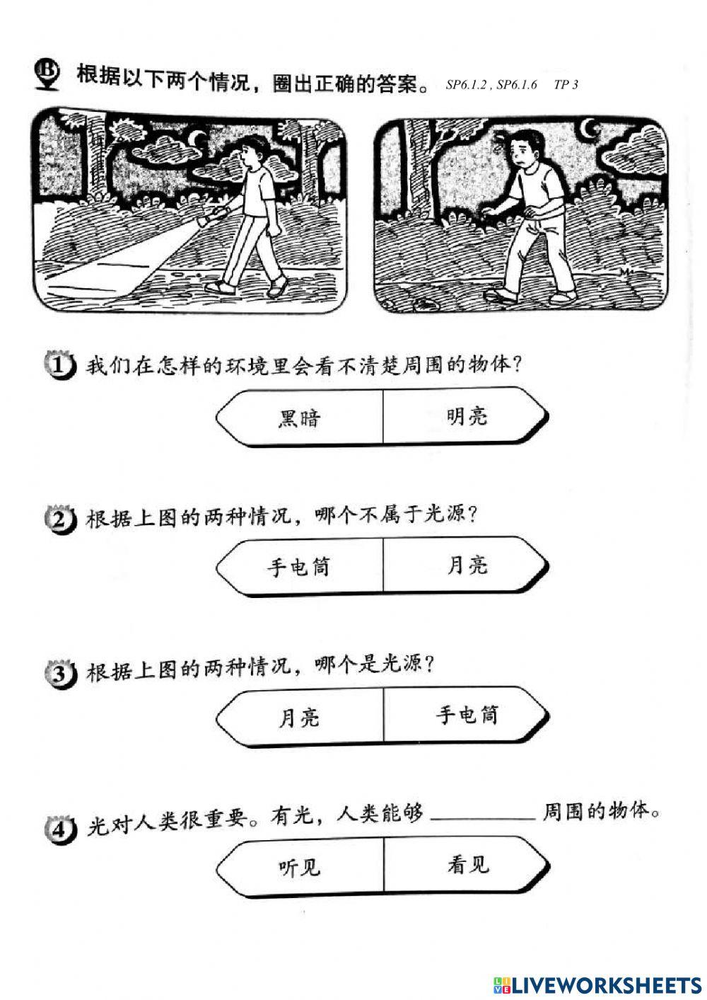 2年级科学评估（2）-光和暗