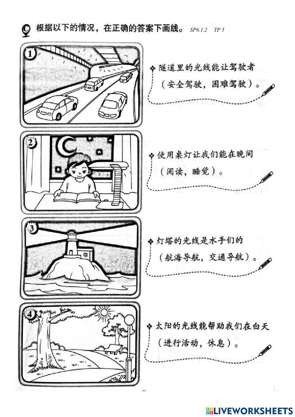 2年级科学评估（2）-光和暗