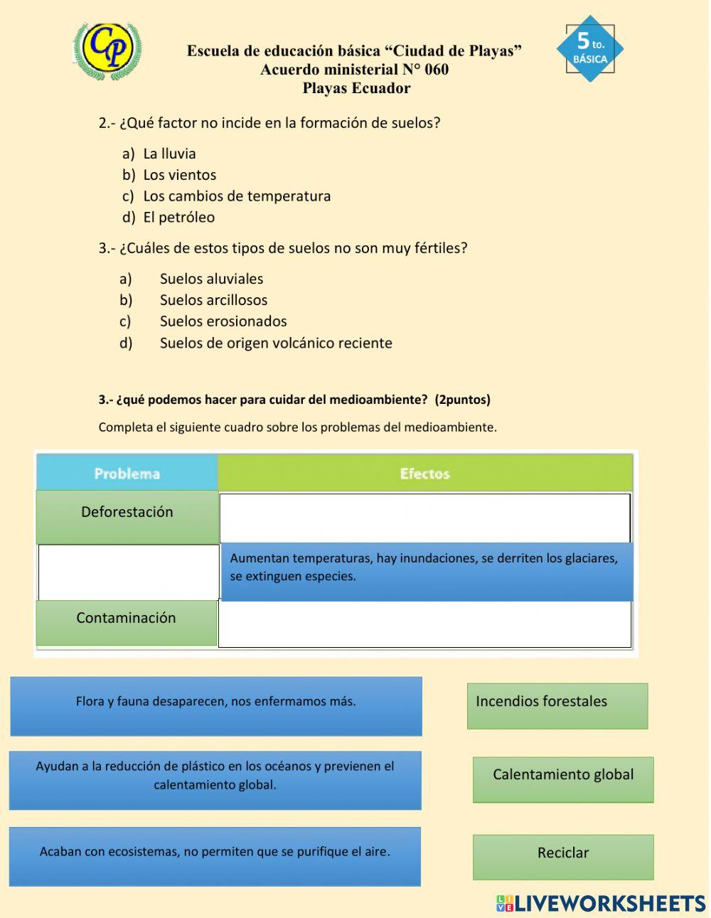 Evaluación Primer parcial