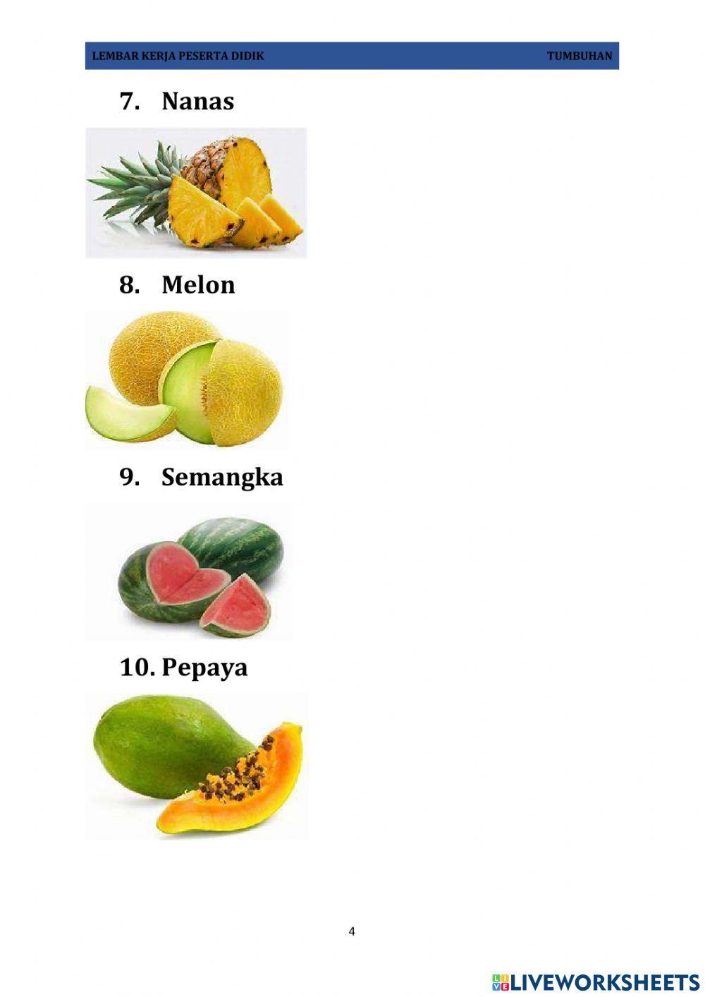 Lkpd buah-buahan