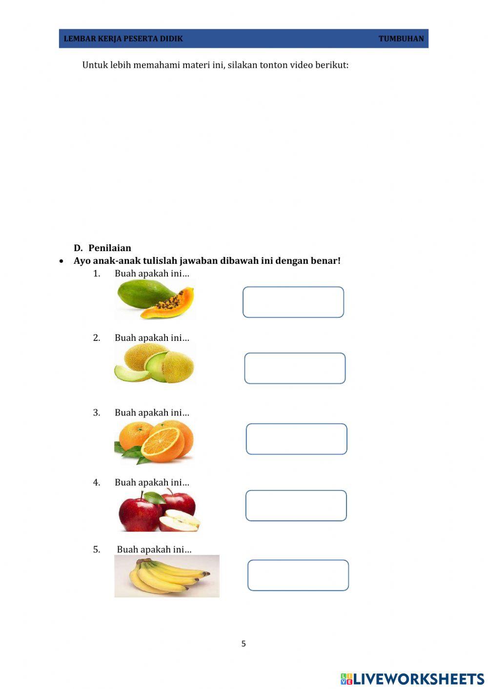 Lkpd buah-buahan