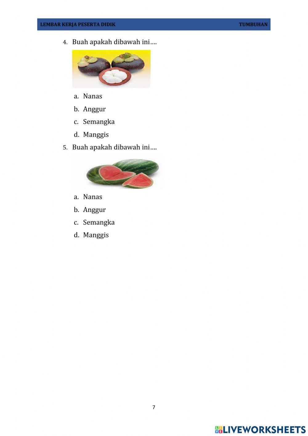 Lkpd buah-buahan