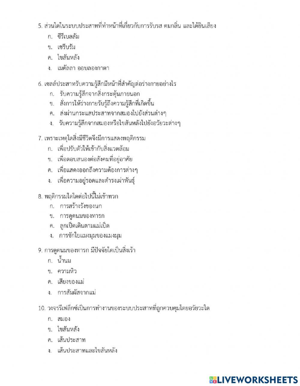 ใบงานระบบประสาท