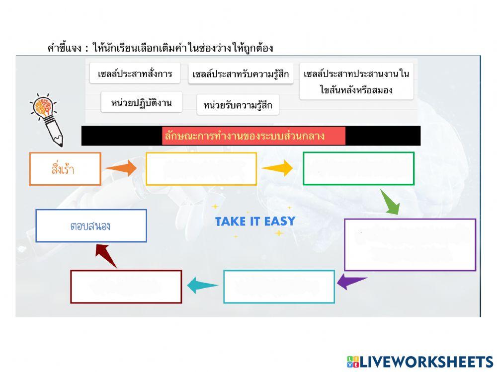 ใบงานระบบประสาท