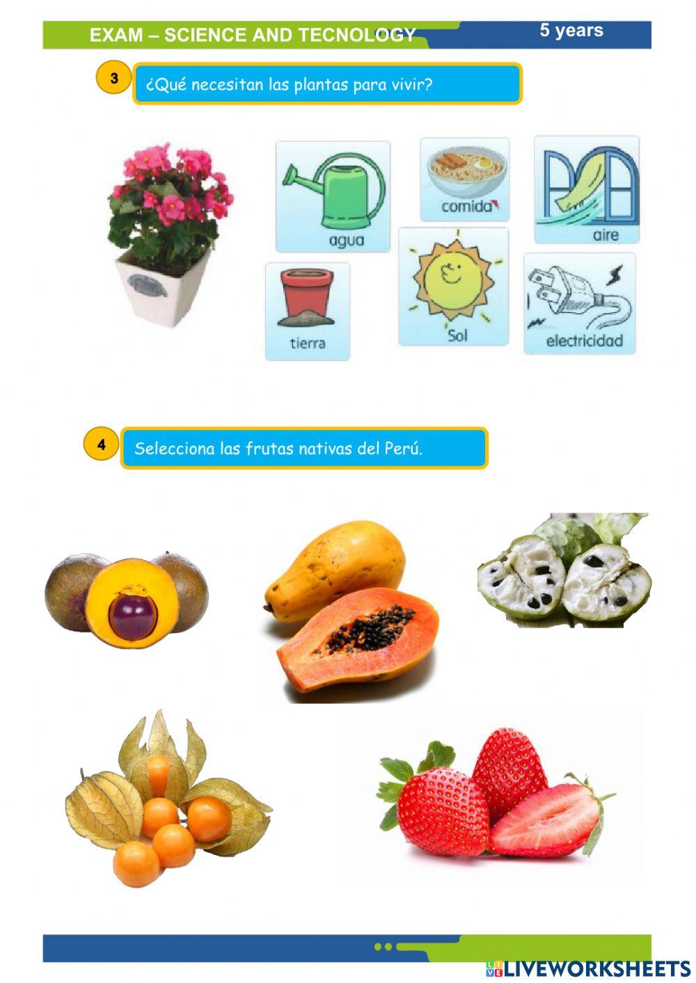 Ciencia y tecnología