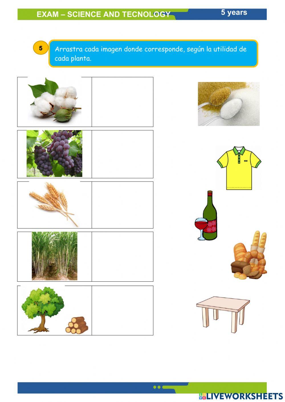 Ciencia y tecnología