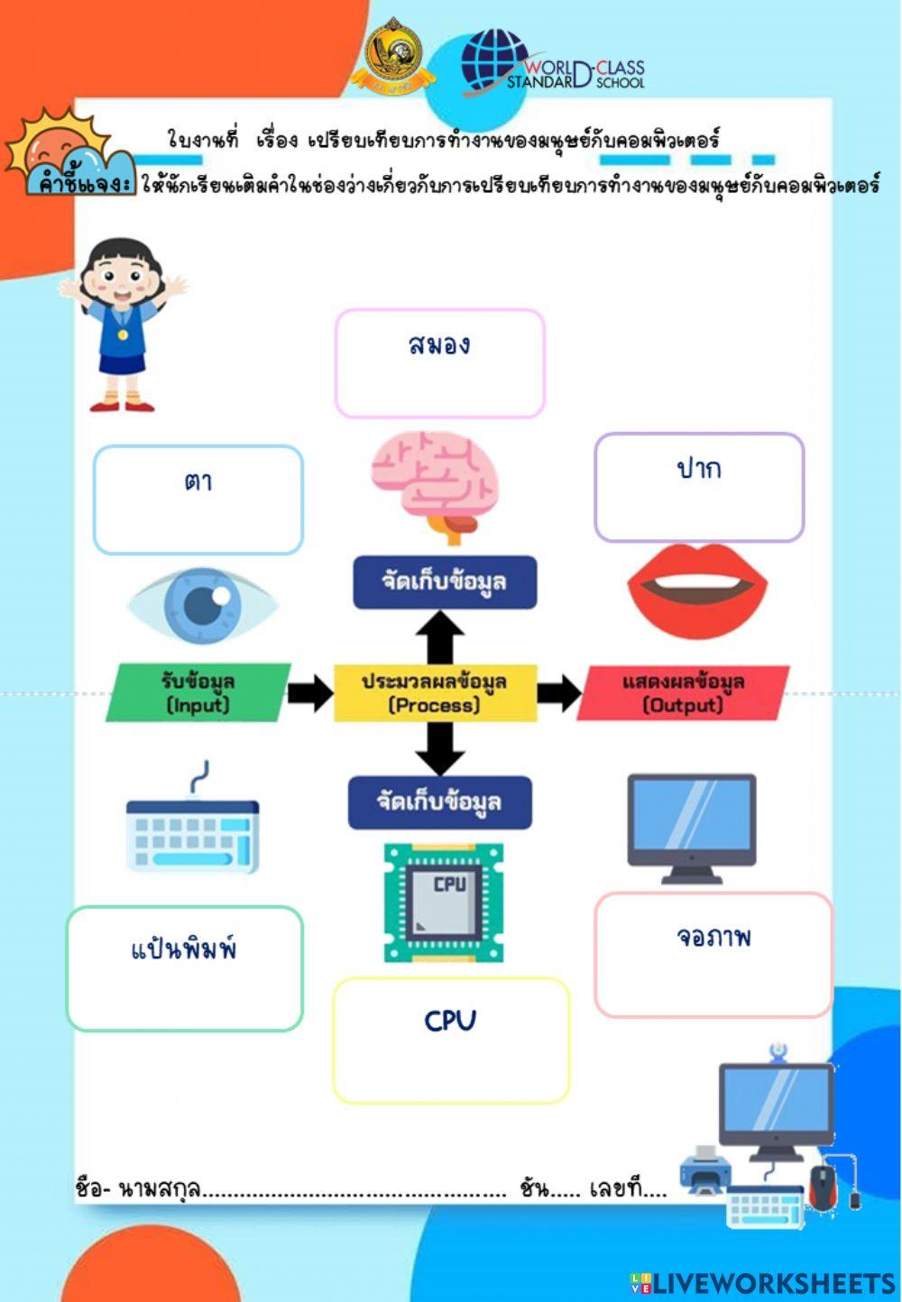 เปรียบเทียบการทำงานของมนุษย์กับคอมพิวเตอร์