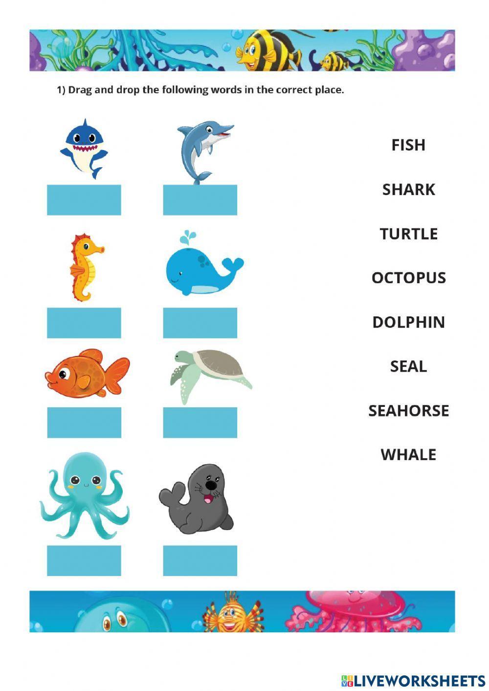 Sea animals