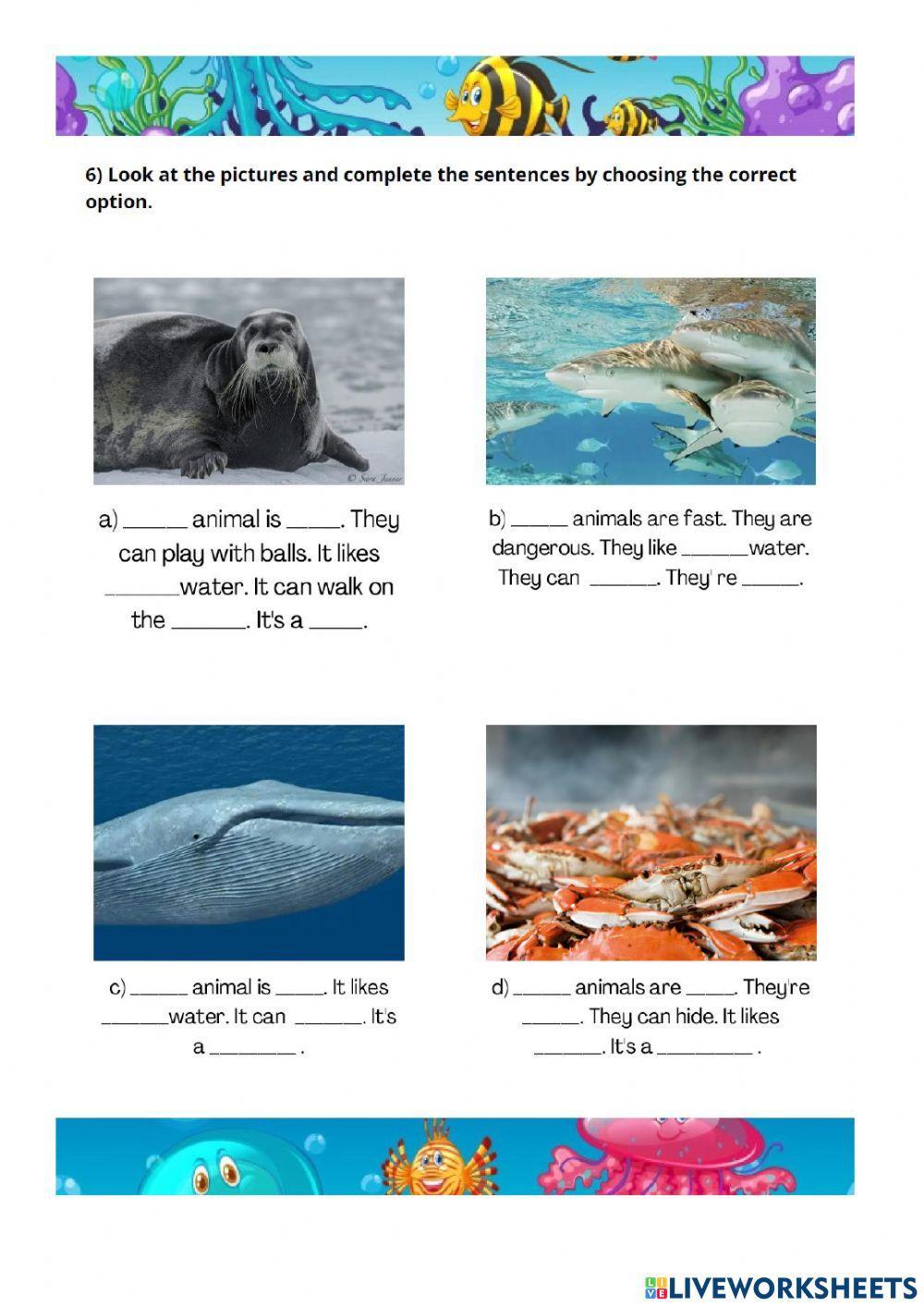Sea animals