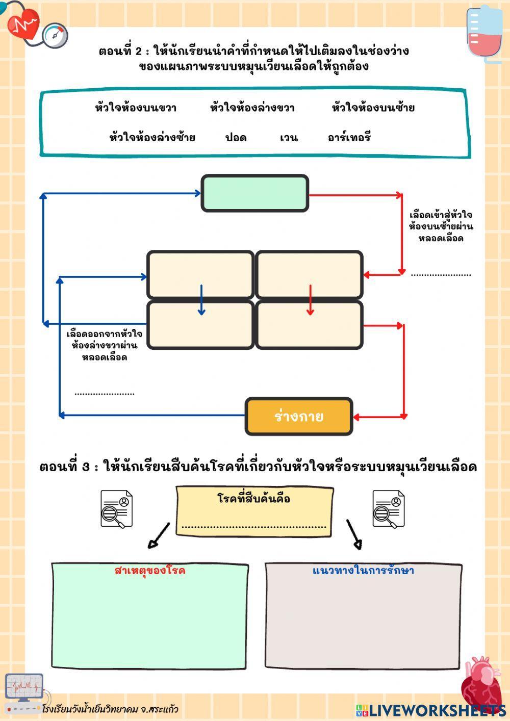 ระบบหมุนเวียนเลือด