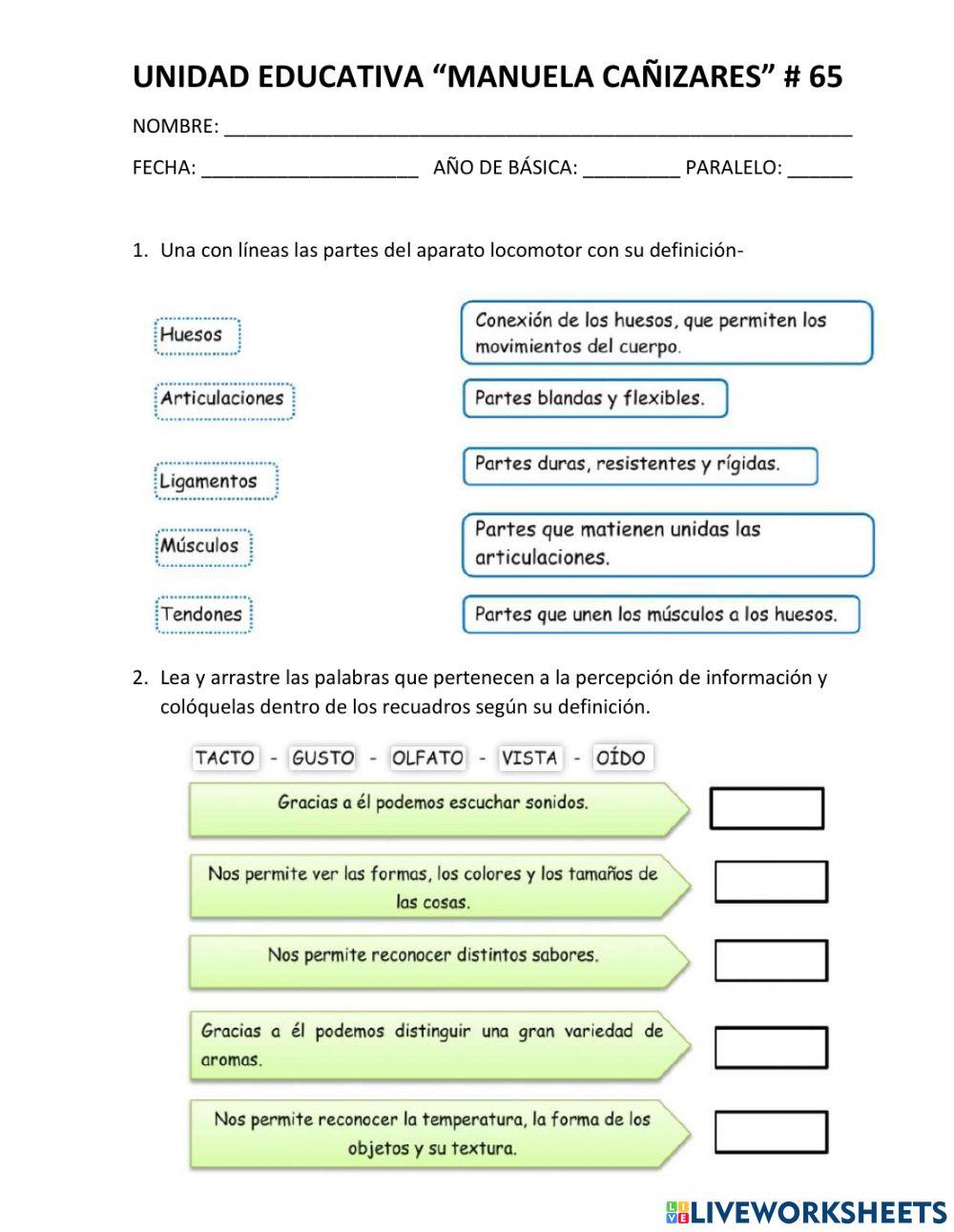 Evaluación Ciencias Naturales