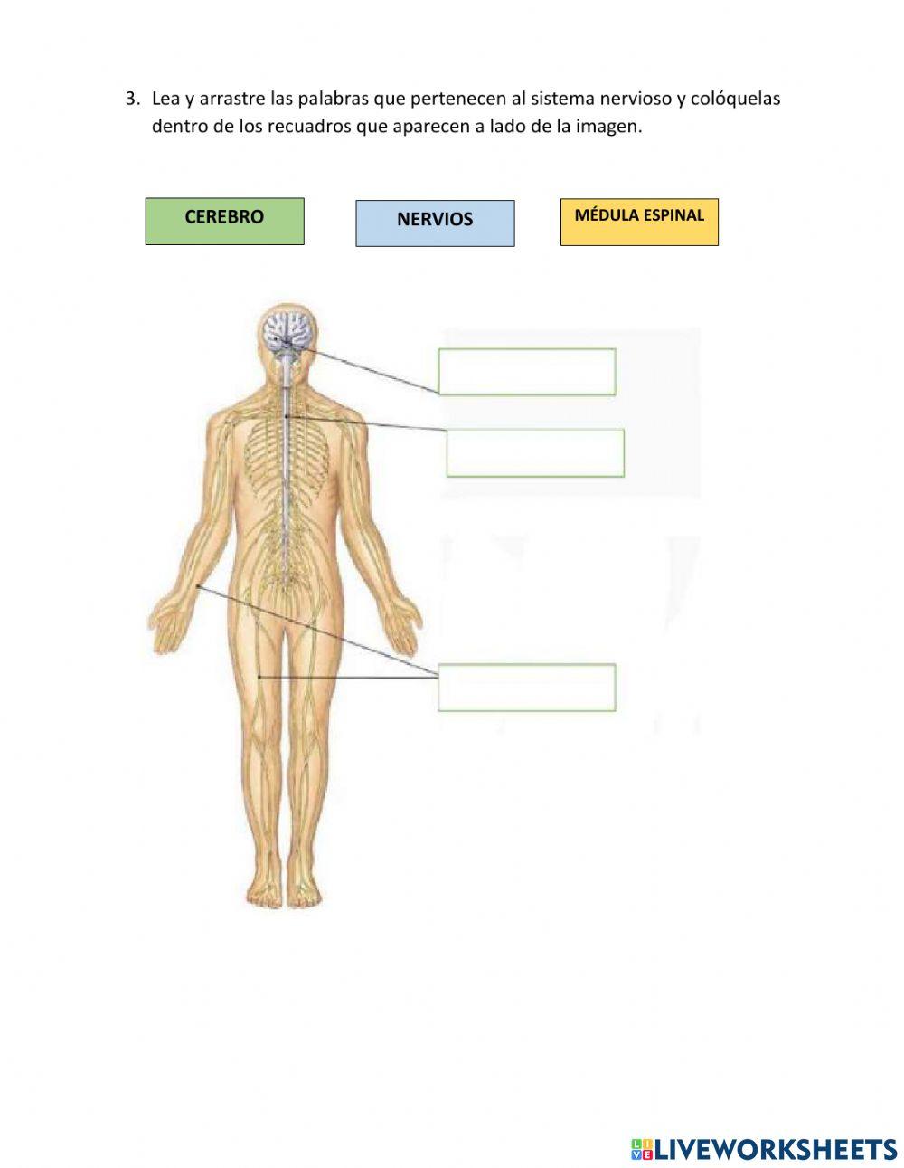 Evaluación Ciencias Naturales