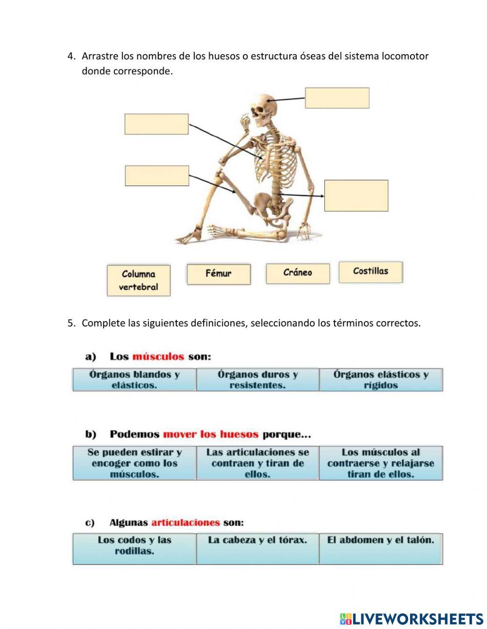 Evaluación Ciencias Naturales