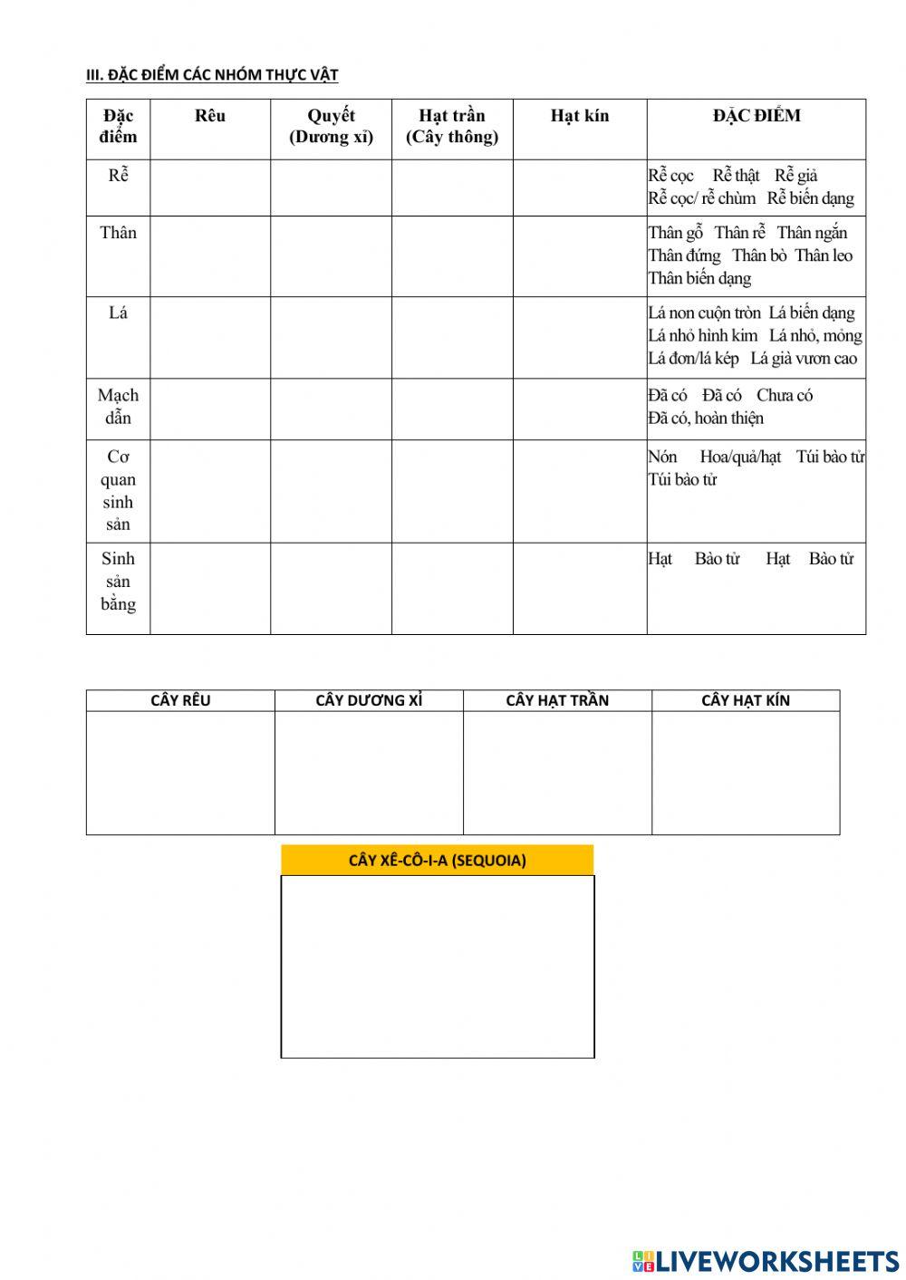 Ôn tập sinh học lớp 6