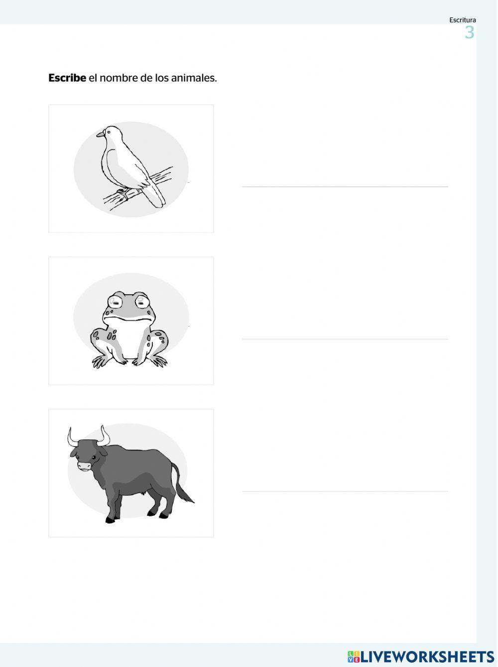 Diagnostica de escritura