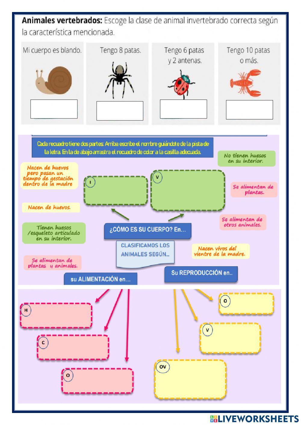 Examen bimestral de ciencia