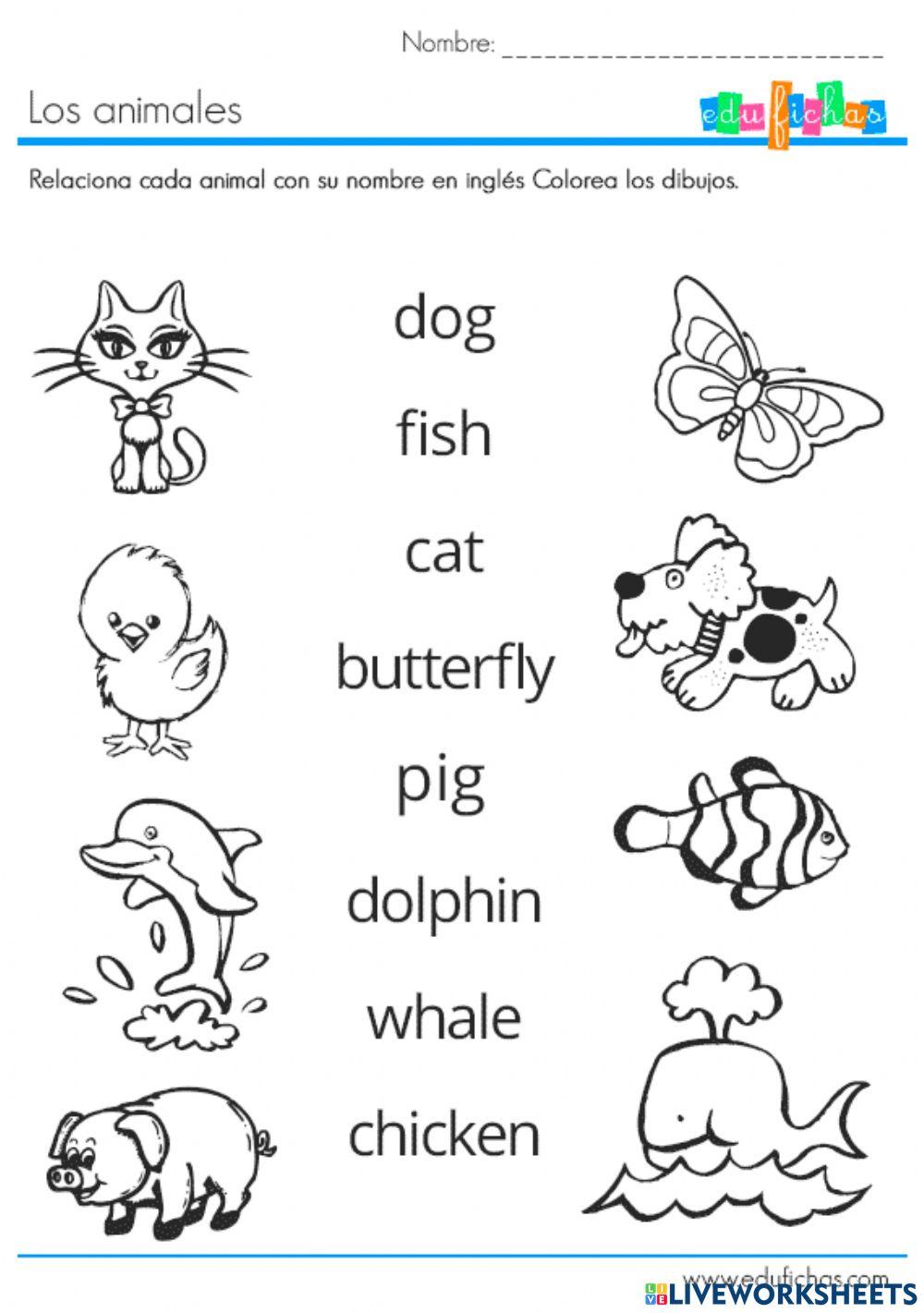 Animals en ingles