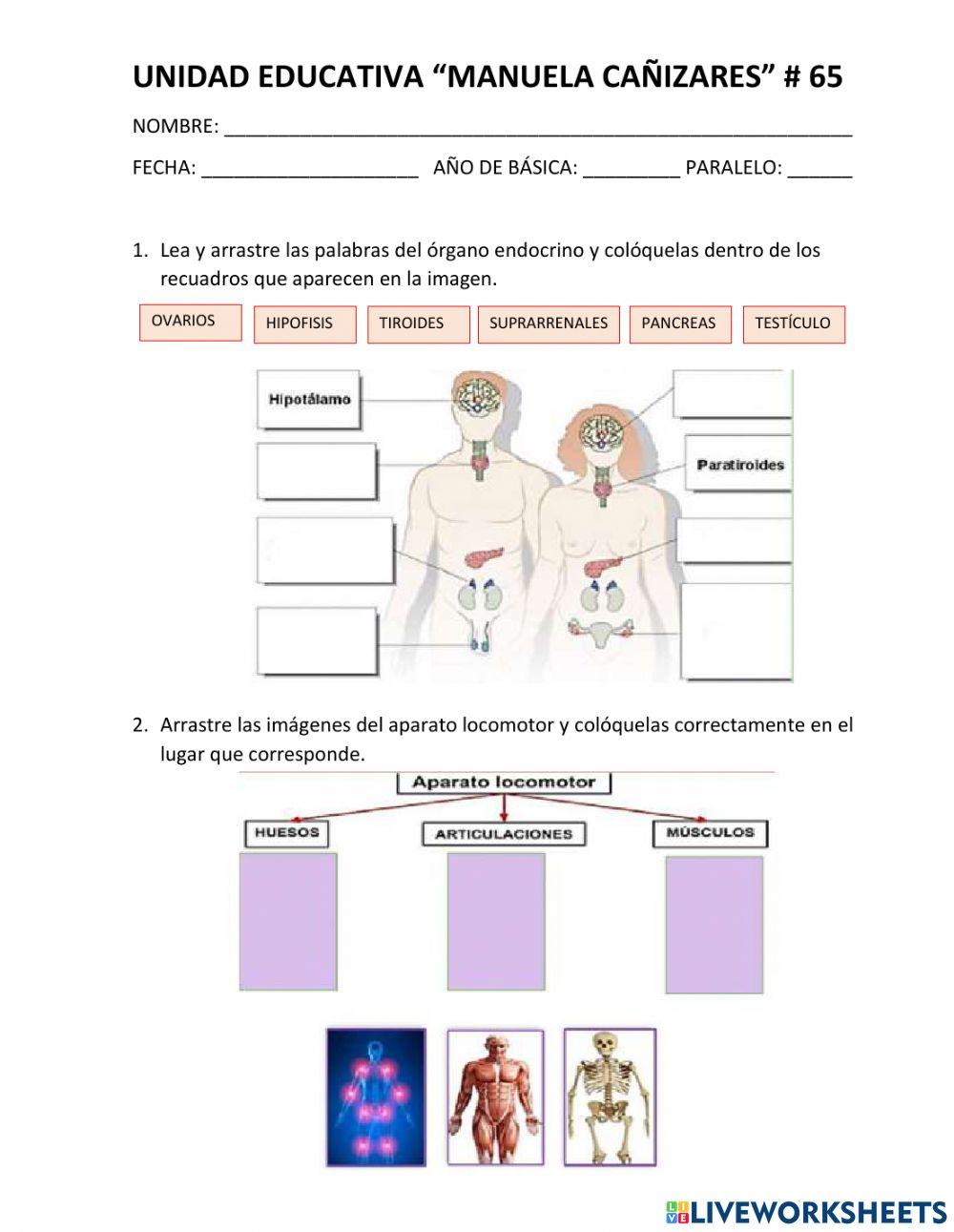 Evaluación Ciencias Naturales3