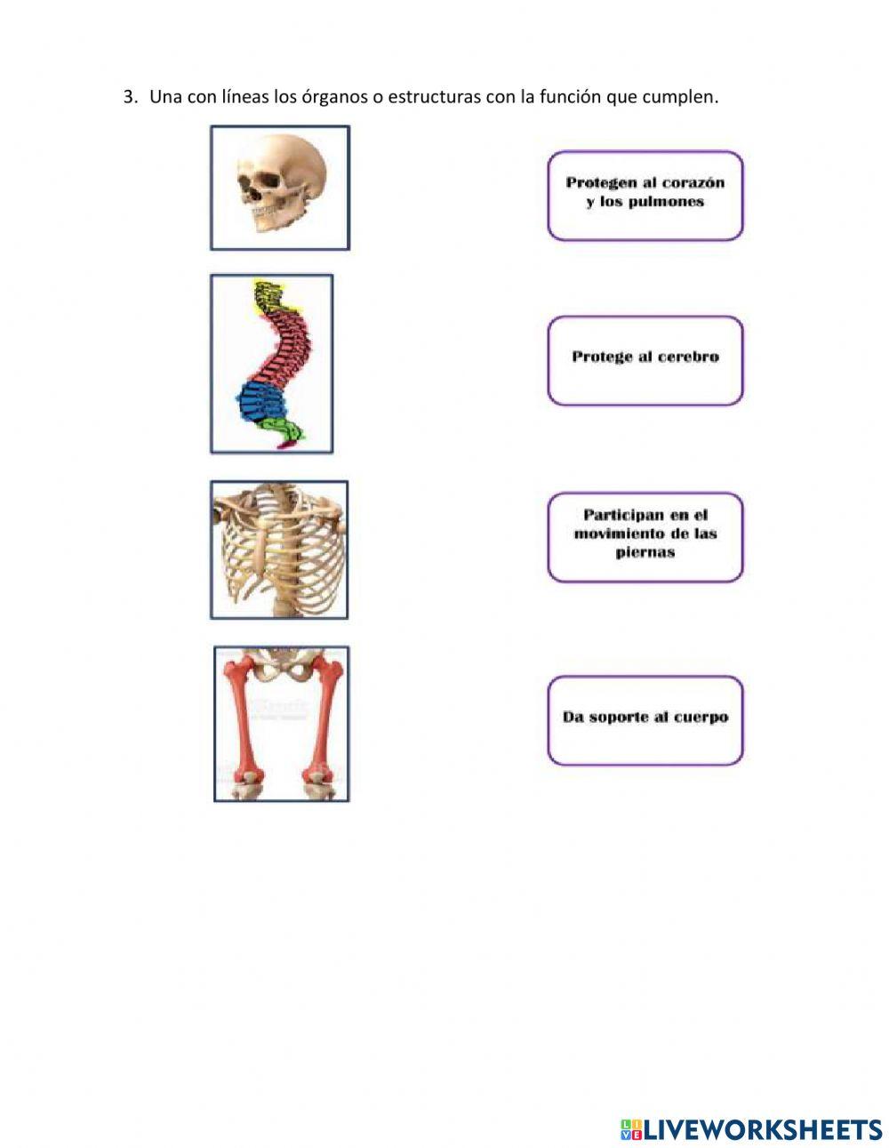 Evaluación Ciencias Naturales3