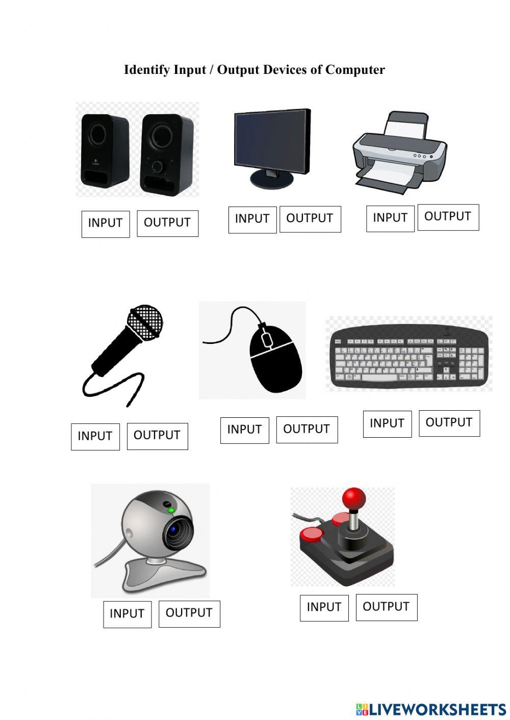 INPUT OUTPUT DEVICES | davcbsethane | Live Worksheets