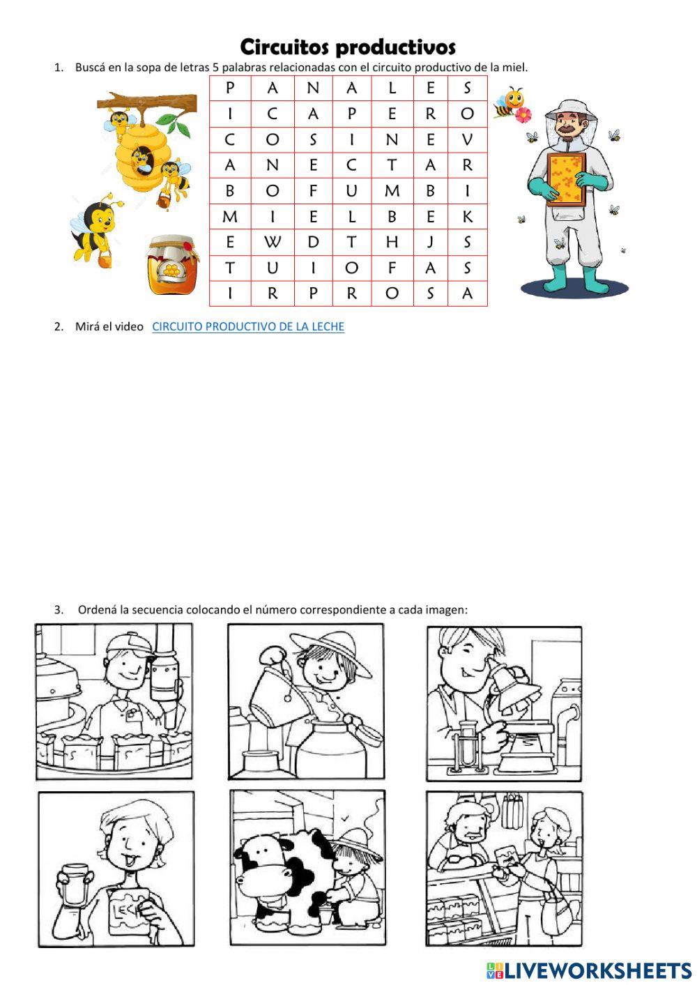 Circuitos productivos 