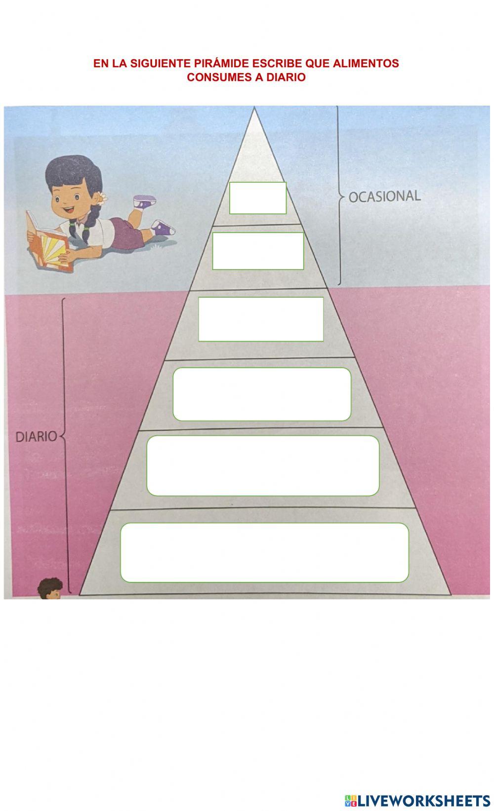 El sistema digestivo