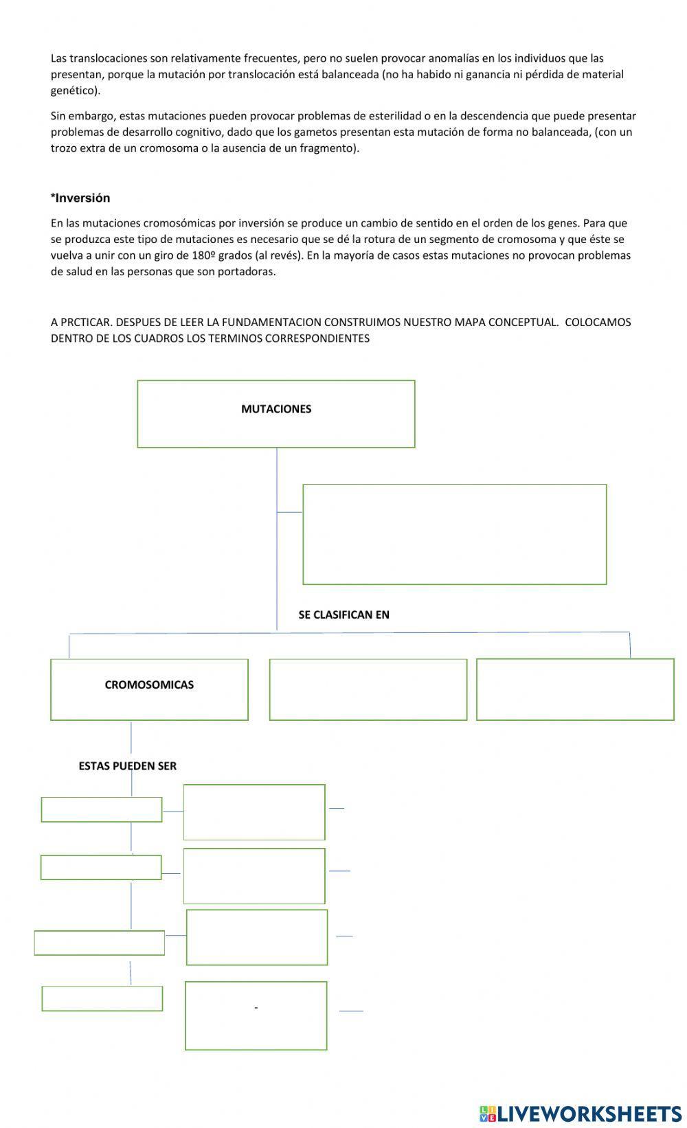 Mutaciones cromosomicas