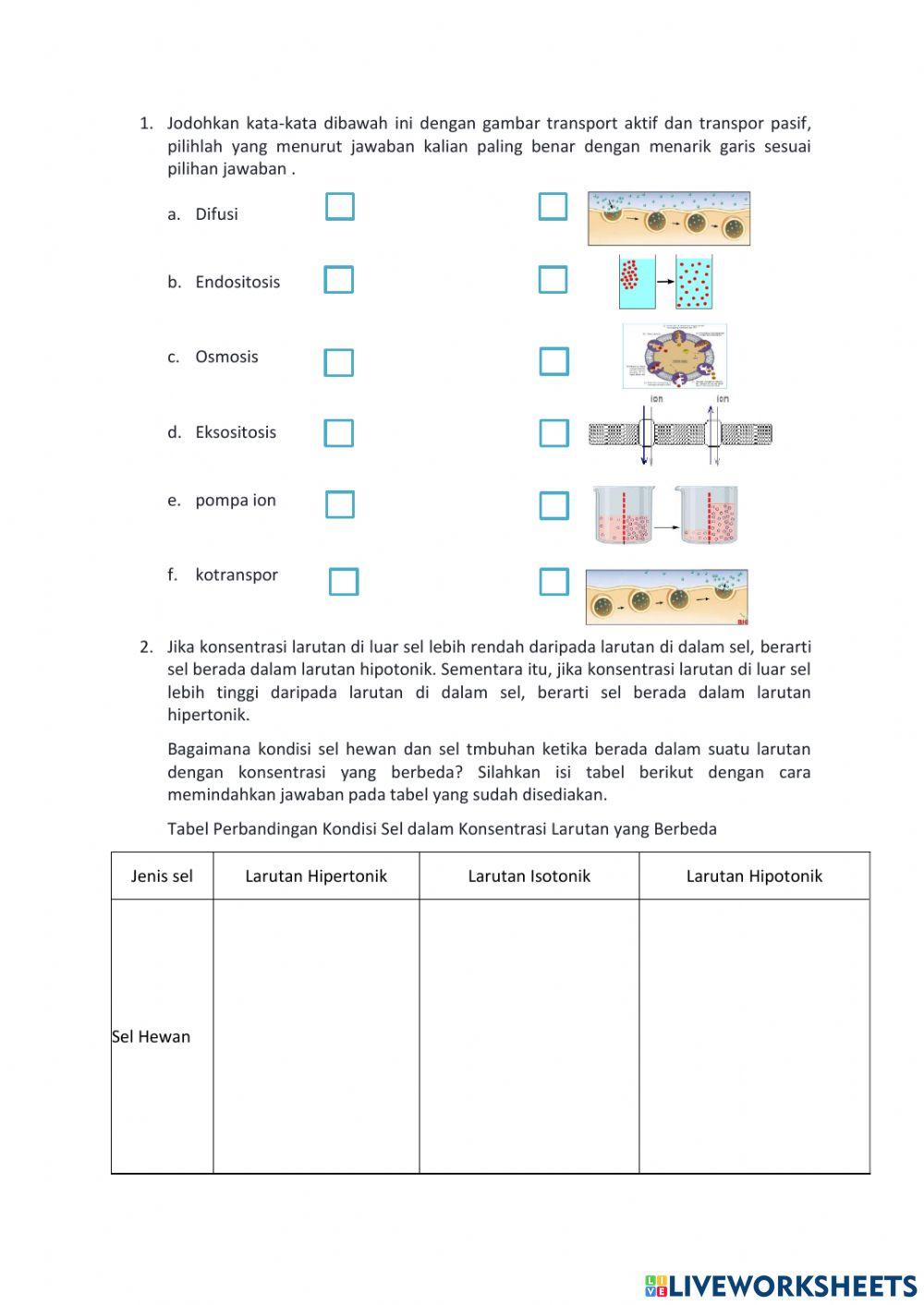 LKPD transpor membran sel