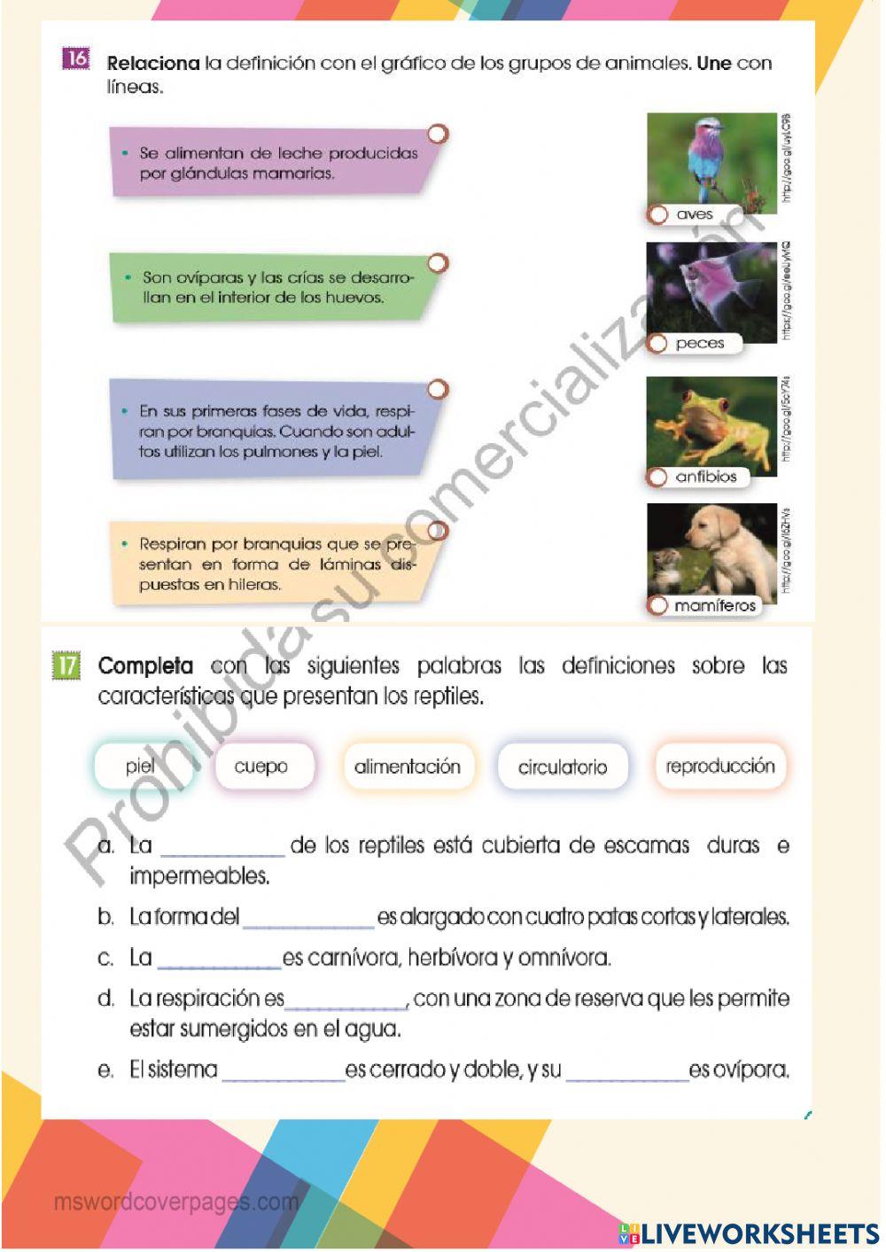 CLASIFICACION D… | Free Interactive Worksheets | 3213401, image size:1000x1413