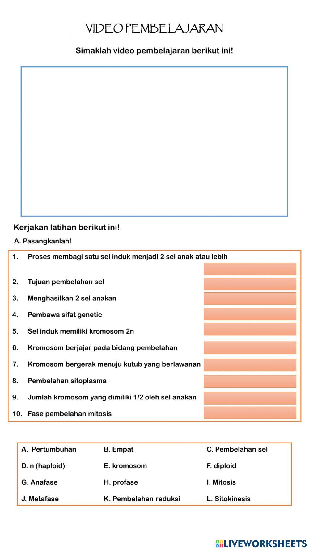 Sistem Reproduksi pada Manusia: Pembelahan Sel