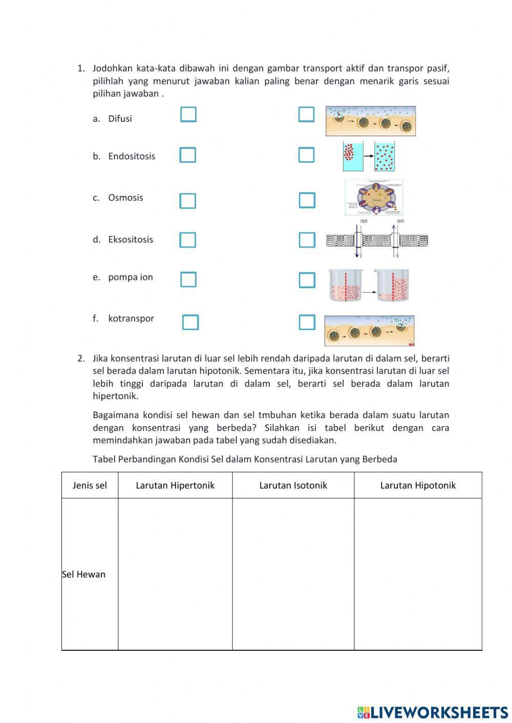 LKPD transpor membran sel
