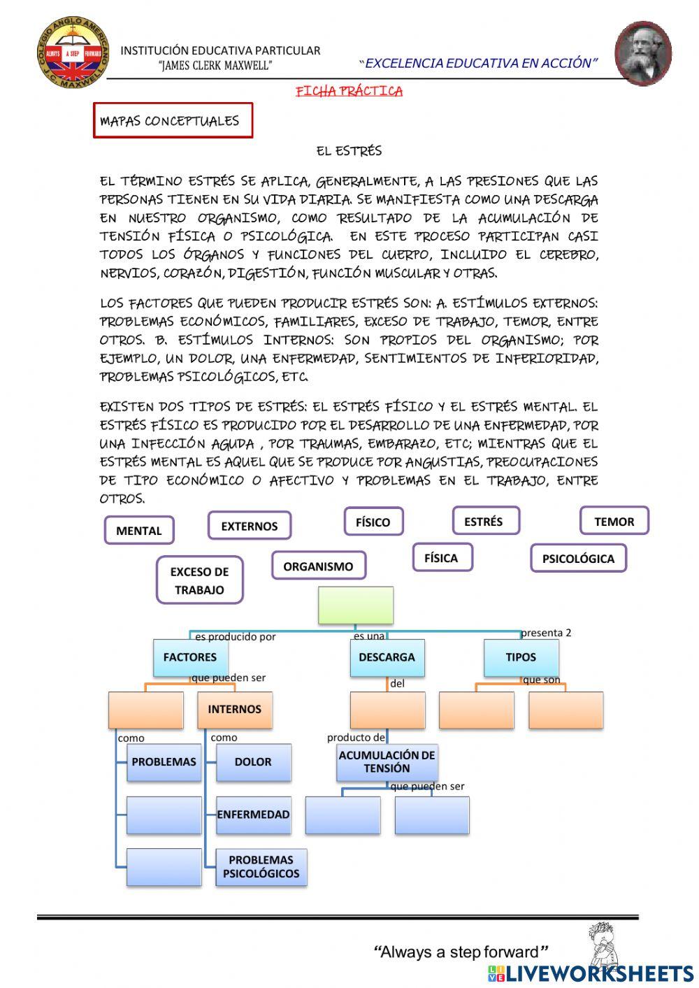 Ficha de mapa conceptual