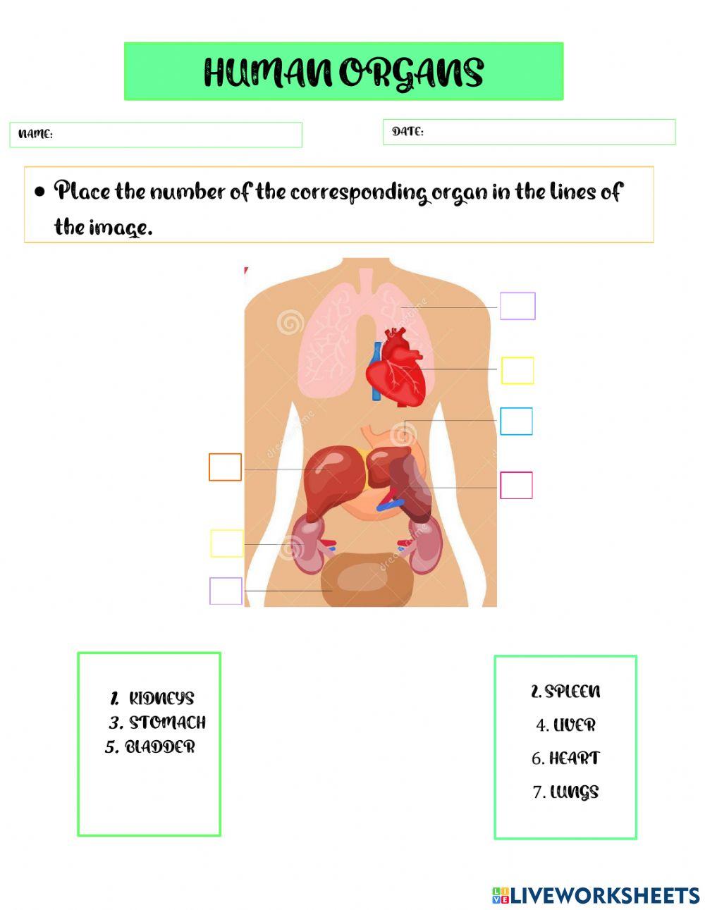 Organs