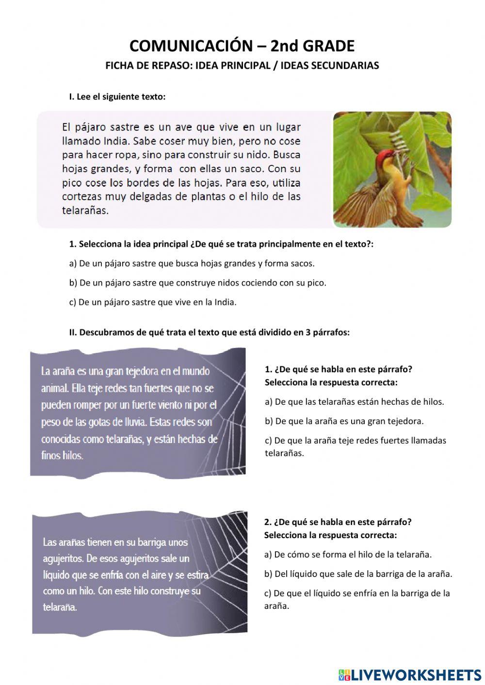 Idea principal- ideas secundarias